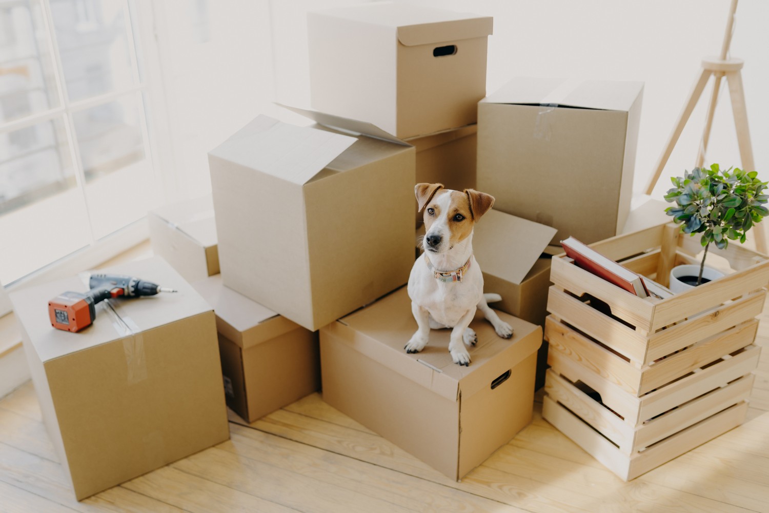 家庭搬家較特別的是因通常人數比較多，物品也多、雜，因此事前的整理與打包就顯得格外重要